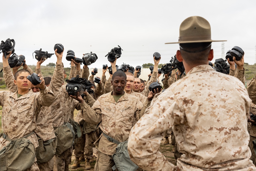 Charlie Company Confidence Chamber