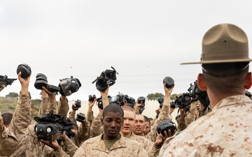 Charlie Company Confidence Chamber