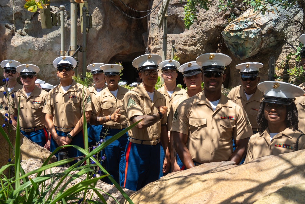 Los Angeles Fleet Week 2025: Disneyland Park