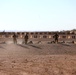Marksmanship Advisory Council Region VII Match