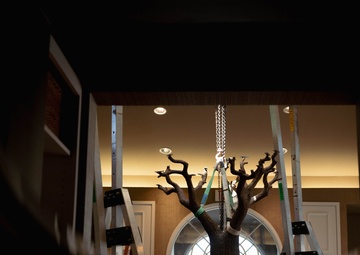 Freedom Oak unveiled in Meditation Pavilion, Dover AFB