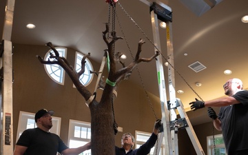Freedom Oak unveiled in Meditation Pavilion, Dover AFB
