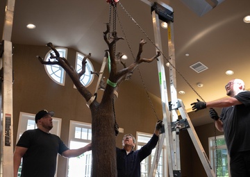 Freedom Oak unveiled in Meditation Pavilion, Dover AFB