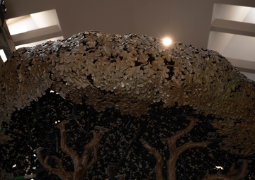 Freedom Oak unveiled in Meditation Pavilion, Dover AFB