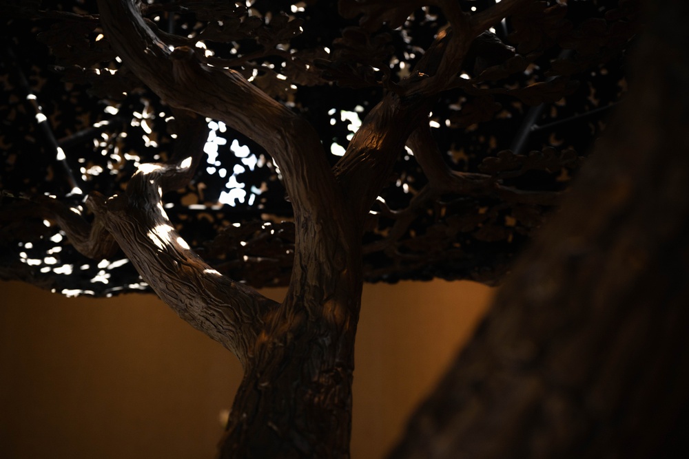 Freedom Oak unveiled in Meditation Pavilion, Dover AFB