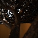 Freedom Oak unveiled in Meditation Pavilion, Dover AFB
