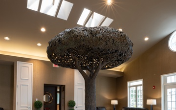 Freedom Oak Unveiled at Mediation Pavilion, Dover AFB