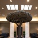 Freedom Oak Unveiled at Mediation Pavilion, Dover AFB