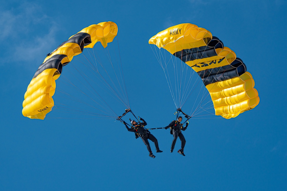 U.S. U.S. Army Parachute Team Joins British Army Red Devils for Hyundai Air and Sea Show