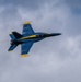 Blue Angels conduct flyover of Fort Indiantown Gap’s Bollen Range