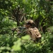 KAMANDAG 9: 3d LCT executes fire-team attacks