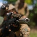 KAMANDAG 9: 3d LCT executes fire-team attacks