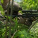 KAMANDAG 9: 3d LCT executes fire-team attacks
