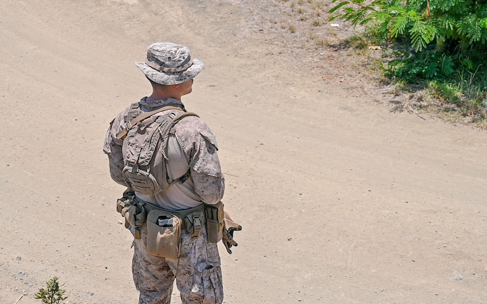 DoD assists DHS in illegal alien arrival flight
