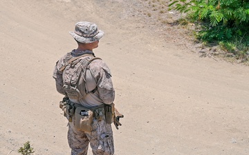 DoD assists DHS in illegal alien arrival flight