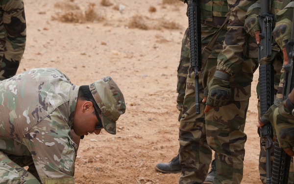 US leads explosive device class at African Lion 2025