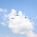 Freedom Formation