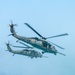 2025 Hyundai Air &amp; Sea Show
