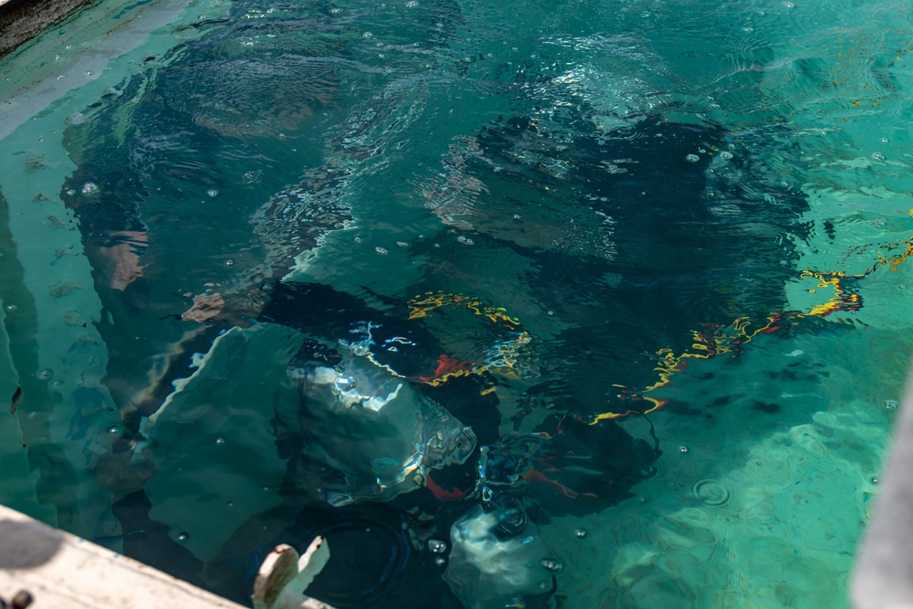 UCT-2 Seabees at Los Angeles Fleet Week
