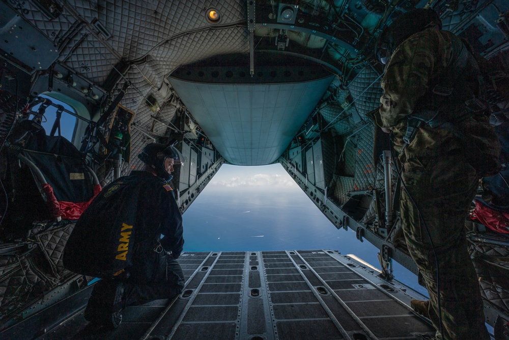 The U.S. Army Parachute Team Jumps into the Hyundai Air and Sea Show