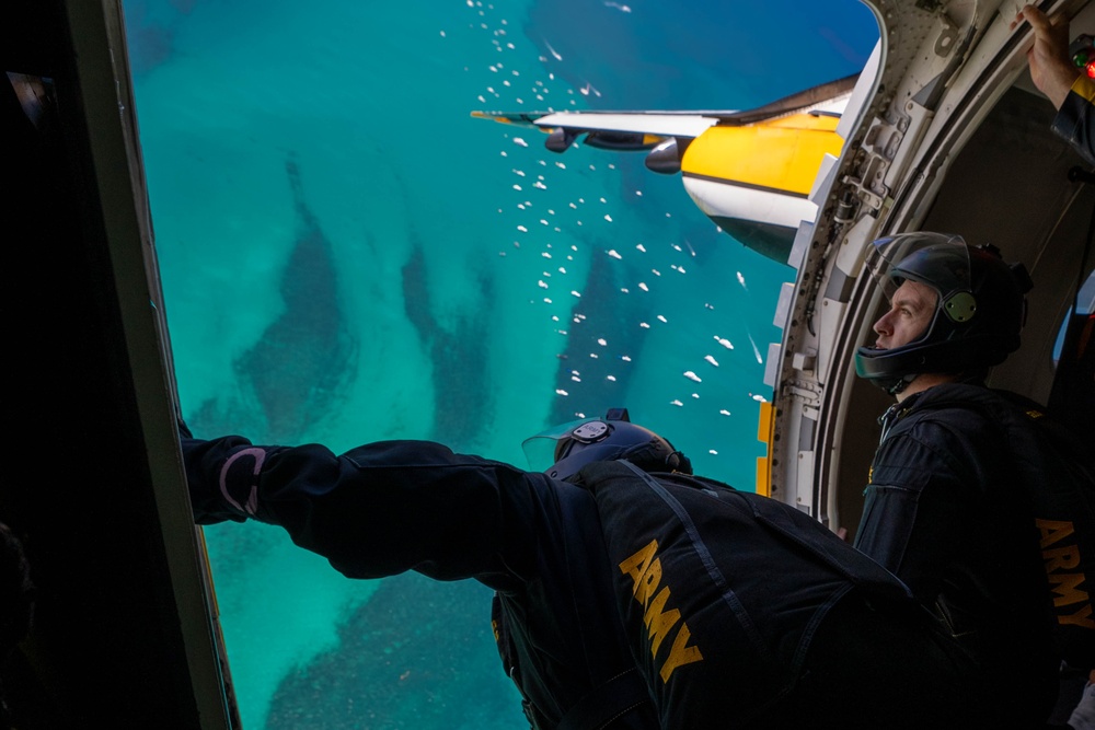 The U.S. Army Parachute Team Jumps Into The Hyundai Air and Sea Show