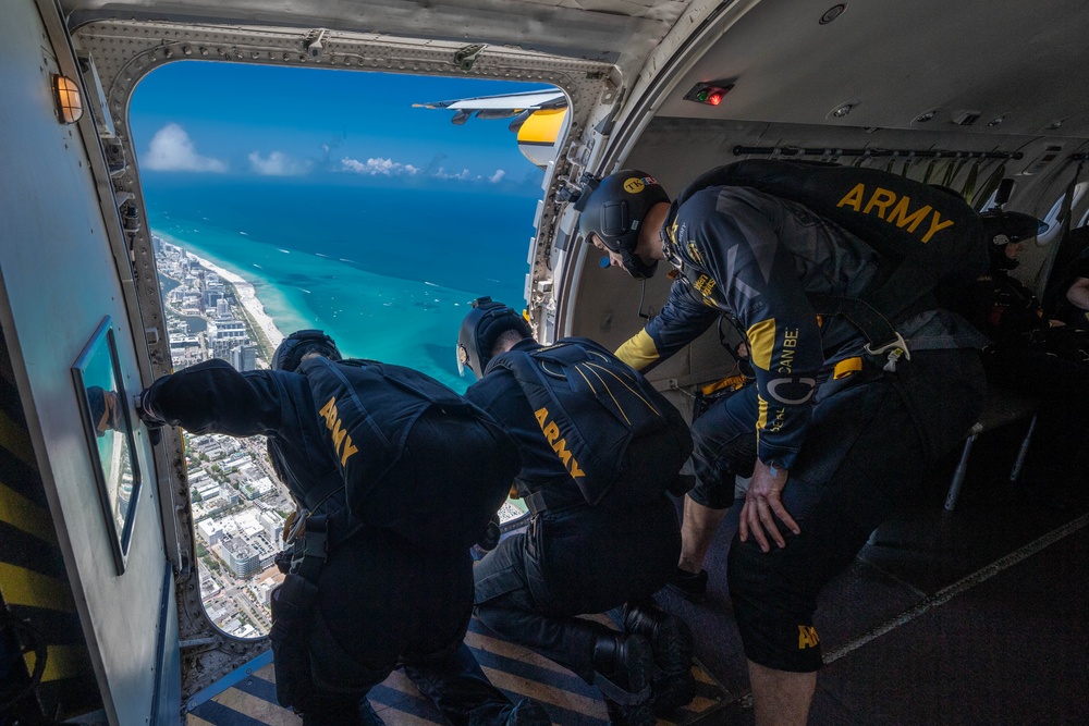 The U.S. Army Parachute Team Jumps Into The Hyundai Air and Sea Show