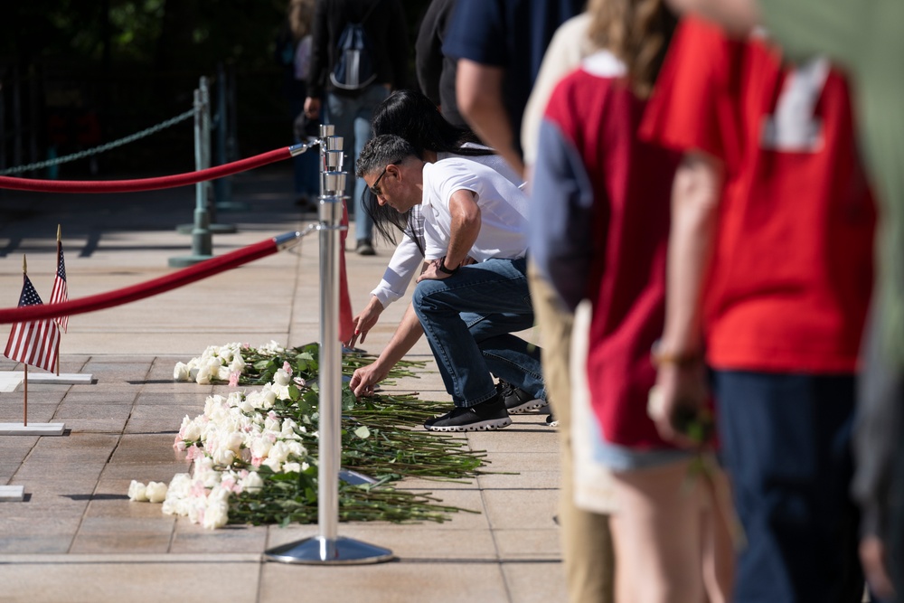 Flowers of Remembrance Day 2025