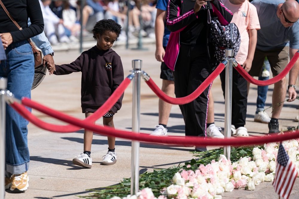 Flowers of Remembrance Day 2025