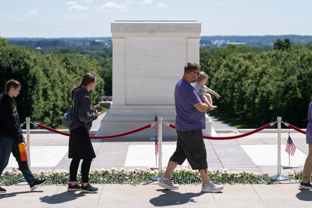 Flowers of Remembrance Day 2025