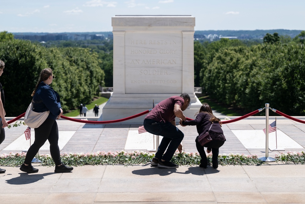 Flowers of Remembrance Day 2025