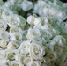 Flowers of Remembrance Day 2025