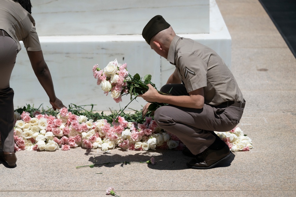 Flowers of Remembrance Day 2025