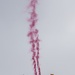 U.S. Army Parachute Team jumps in to Indy 500 pre-race