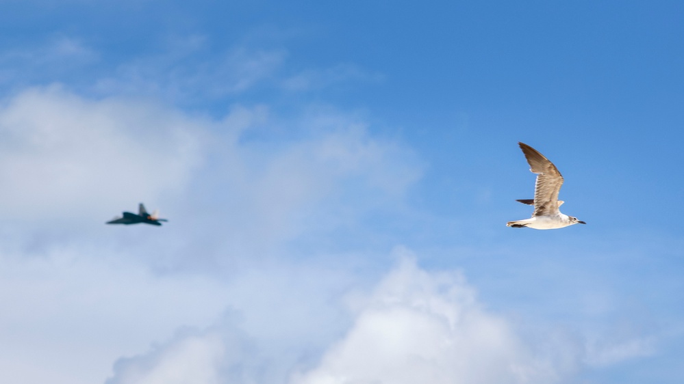 F-22 Demo Team Boosts Recruiting Efforts at Miami Air Show