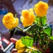 Honoring fallen heroes: Memorial Day Observance 2025