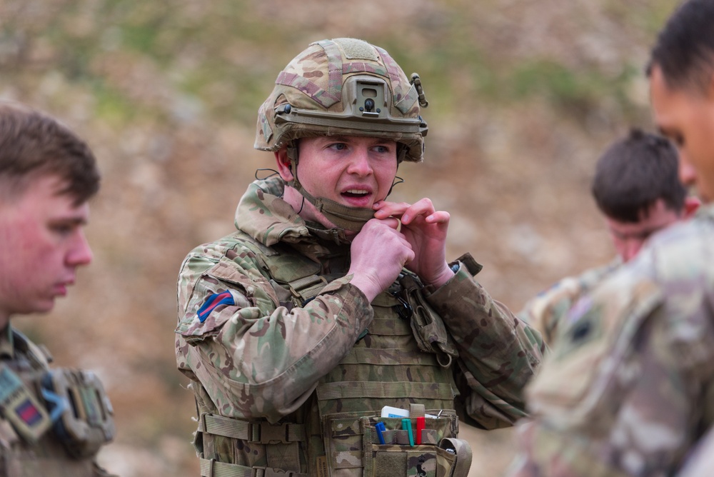 Coalition Forces Conduct Range Operations