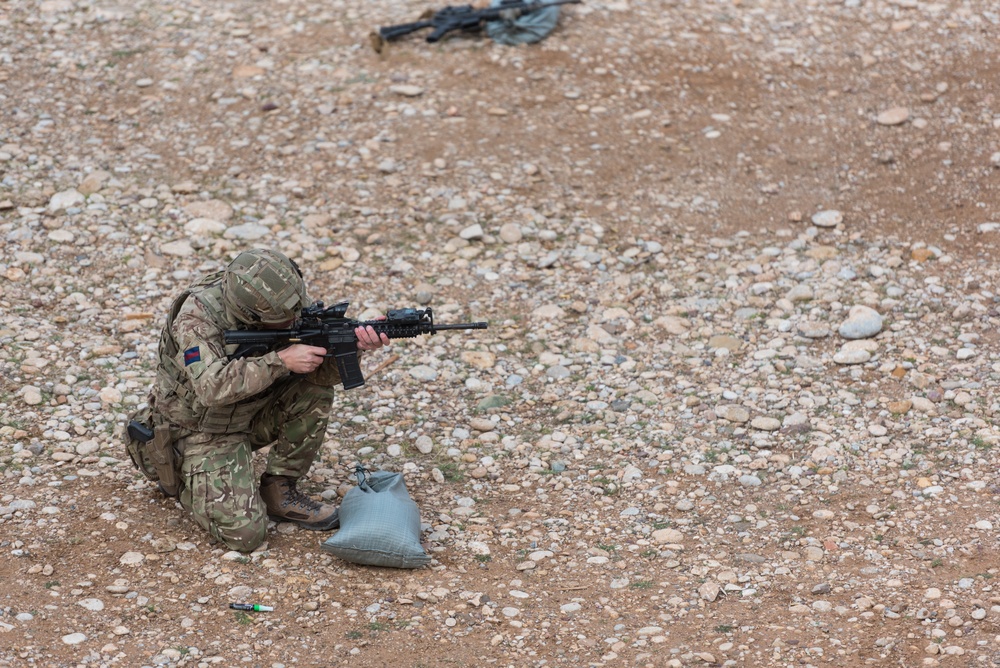 Coalition Forces Conduct Range Operations