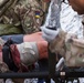 Coalition Members React to Mass Casualty Exercise