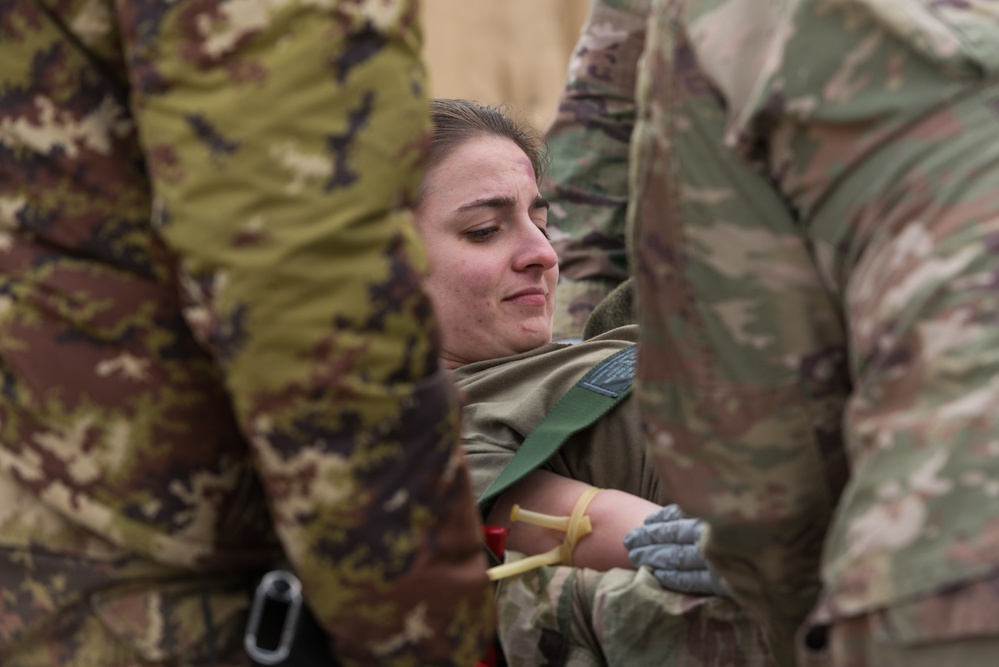 Coalition Members React to Mass Casualty Exercise