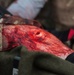 Coalition Members React to Mass Casualty Exercise