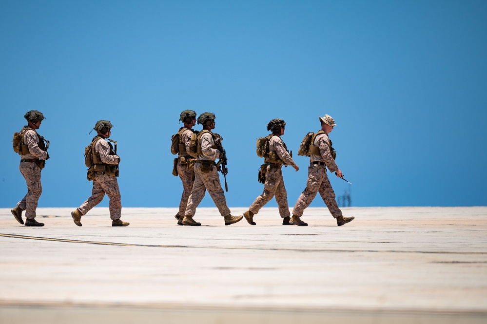 DoD supports ICE during illegal alien removal flight