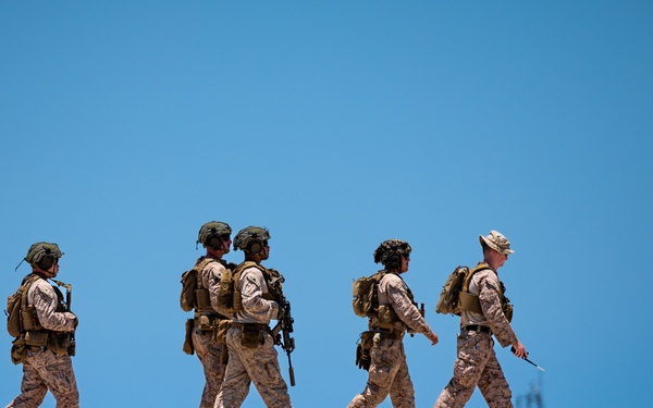 DoD supports ICE during illegal alien removal flight