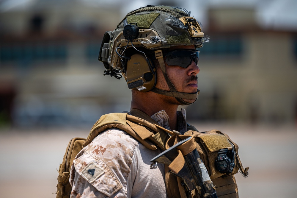 DoD supports ICE during illegal alien removal flight