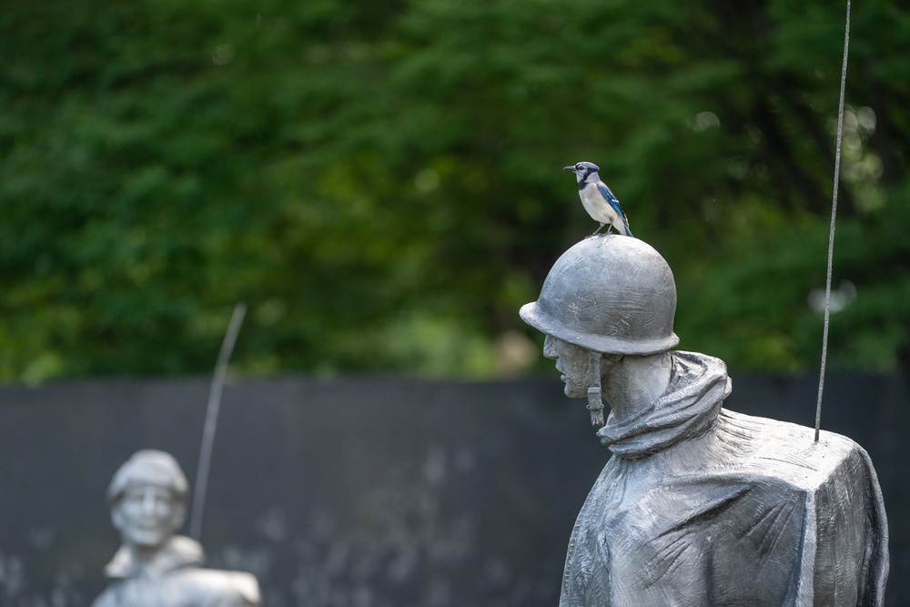 Korean War Veterans Memorial Wreath-laying