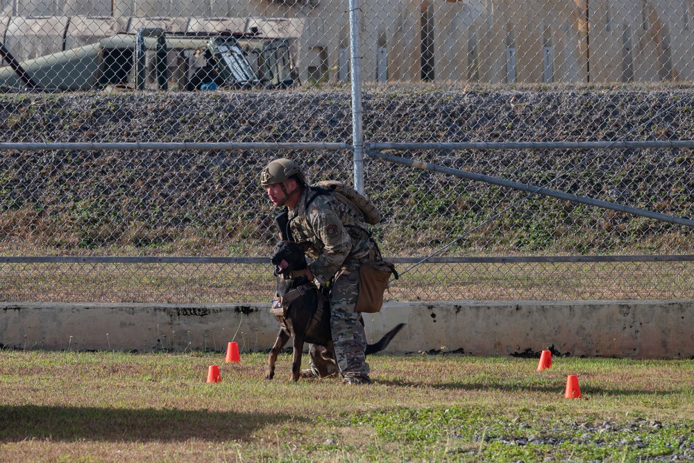 Andersen AFB hosts PACAF ACSA K9 competition