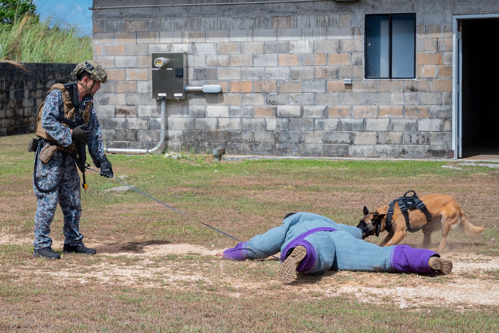 Andersen AFB hosts PACAF ACSA K9 competition