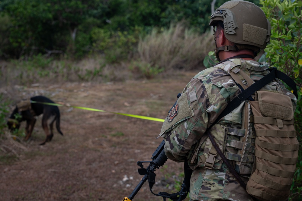 Andersen AFB hosts PACAF ACSA K9 competition