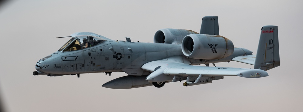 Sandstorm A-10s