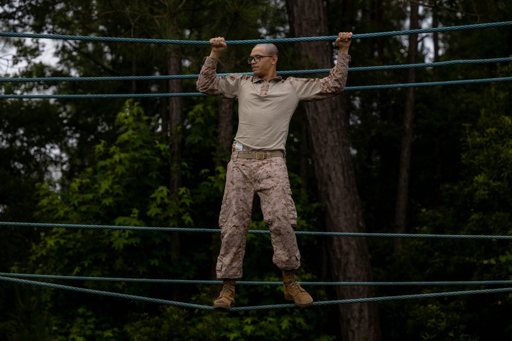 Fox Company Confidence Course