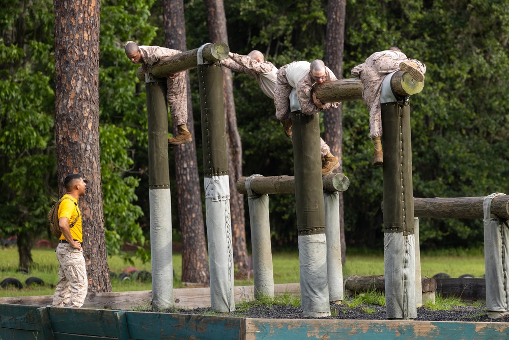 Fox Company Confidence Course